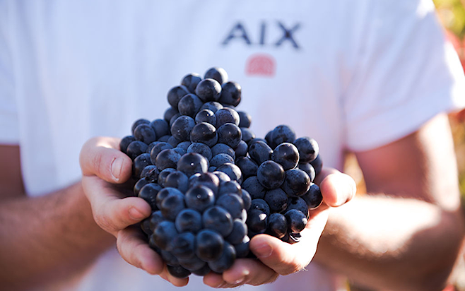 The Vineyard Cycle Maison Saint Aix Intro overview